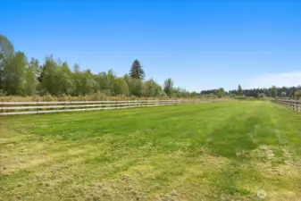 Huge open area, perfect for more berries, movies in the field, craft fairs, dinner in the field, etc.  Electrical outlets extend all the way to end on one side.
