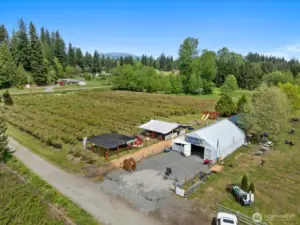 You can see the main road w/the early blueberries that are typically ready first in mid to late June.