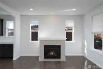 Gas fireplace