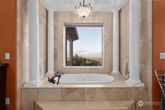 Elegant tub with stunning views