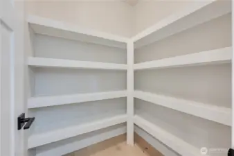 Large Pantry with Built-in Shelving