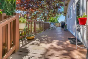 BackYard Deck for Relaxing!