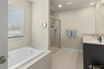 Primary bathroom complete with soaking tub, dual vanities & large shower.
