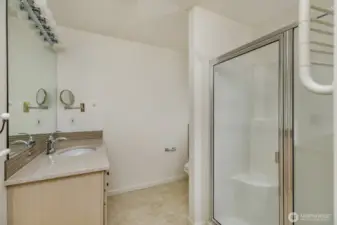 Here's a full guest bath with a large walk-in shower.
