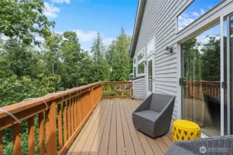 Enjoy forest-like living with the ultimate in privacy. This backyard retreat backs up to a lush greenbelt, perfect for birdwatching and relaxation.