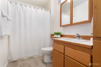 Primary bathroom. Countertops and sink are being replaced/updated with quartz and new sink & fixture. New vinyl plank floor was just installed.