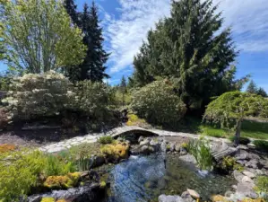 Water feature & Waterfall