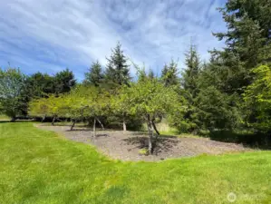 Orchard