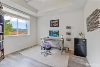 Downstairs office/bedroom
