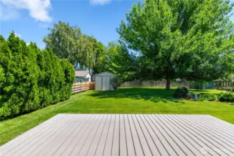 Shady, irrigated backyard