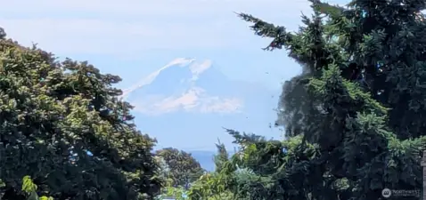 Mount Rainier in all its glory!