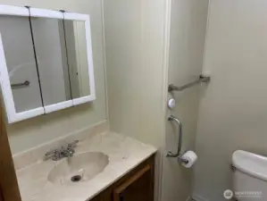 Vanity and Sink