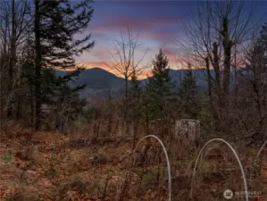 View from the garden