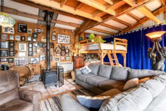 Wood burning stove and propane heater