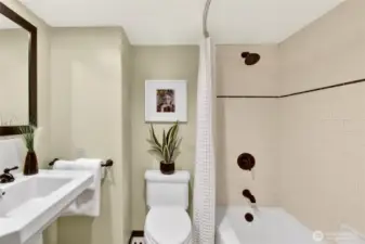 Lower level full bathroom.