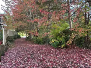 Pedestrian Path