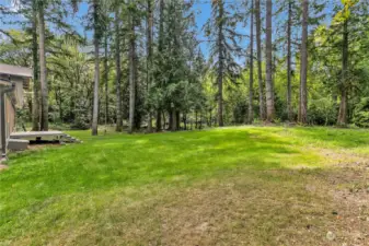 Spacious and private back yard.