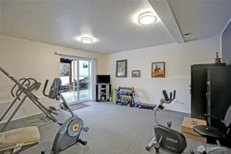 Lower level rec room/living room/gym space, whatever you need this space to be it offers plenty of options with access to backyard.