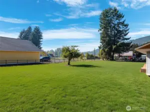 Virtual Grass-(Apple Tree is Real!)