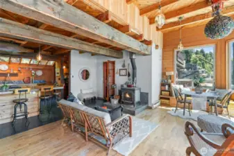 Living Room with Wood Stove and Disco Ball