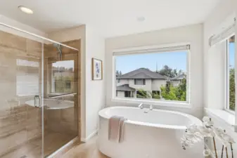 Primary bath/shower