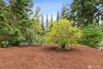 Expansive, park-like backyard surrounded by towering evergreens—your own private forest retreat. Freshly mulched grounds, mature landscaping, and seating areas create a peaceful outdoor space perfect for relaxing, gardening, or adding future features.