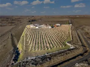 The Orchard/Vineyard is fully fenced.