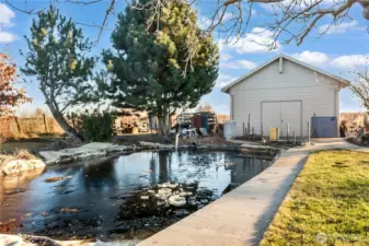 Your very own private pond includes fish and a tranquil space for all ages to enjoy.