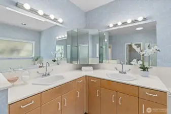 Primary bathroom with walk-in closet (staged)