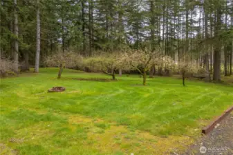 Fruit Trees