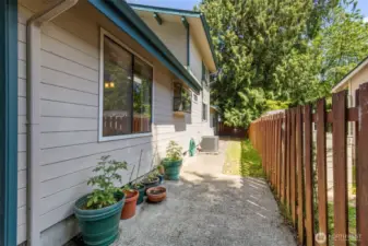 The rear of the house is bathed in sunlight and is perfect for growing tomatoes.