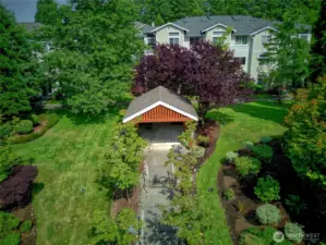 Lush trees to offer shade  in the garden area