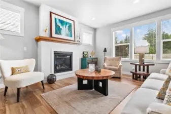 Beautiful laminate wood flooring throughout living areas - great size living room flooded w/natural light