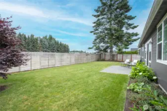 Backing to open field with distant line of trees