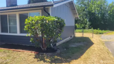 Northside of house