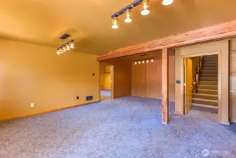 Family Room Downstairs