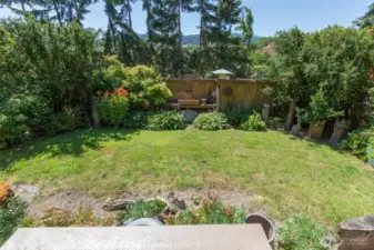 Fenced-in Backyard