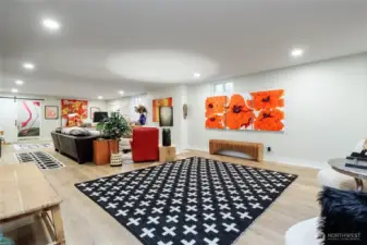 Fully Finished Lower Level