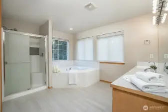 Digitally Staged Primary Bathroom