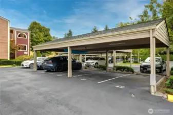 End Parking Stall #42