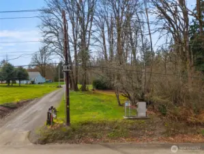 The driveway belongs to the neighbor. Here, you can see the grassy area past the big trees. The flat area extends way past this first clearing.