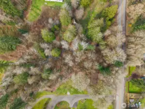 Again, the creek is just visible.