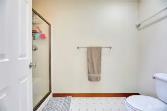 Primary toilet and shower.