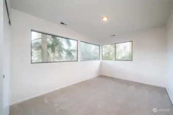 Lower bedroom 1. This bedroom has corner windows and plenty of light.