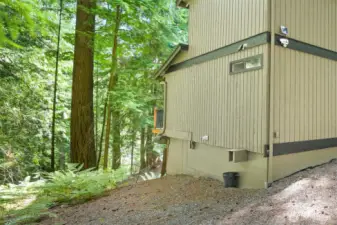 Crawlspace access