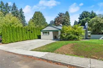 The popular Carlyon area of Olympia is home to this fabulous 3 bedroom plus office charmer!