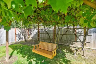 ...is it also home to these amazing grapevines--see the harvest for yourself!