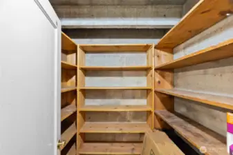 Canning-style closet/pantry with shelving.