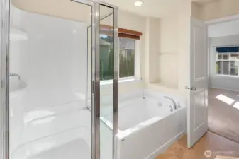 Primary bath showing shower & tub