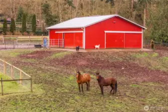 36' x36' Barn with 3 stalls, 8 ton hayloft and tack room.